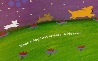 Alan Powell Corona Diaries #10: Dog Heaven