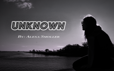 Alexa Smoller – Blog Post #4